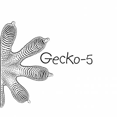 logo Gecko 5